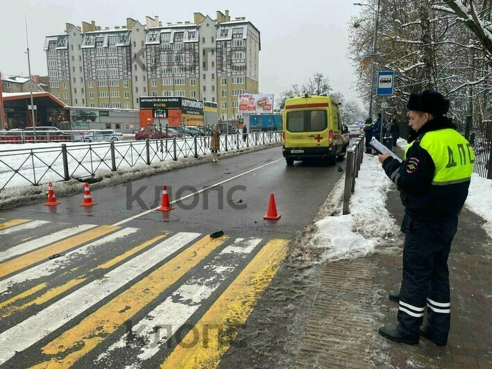 Нападение медведицы в Коми и смертельное ДТП в Калининграде: 9 происшествий, которые вы могли пропустить в выходные - Новости Калининграда | Фото: «Клопс»