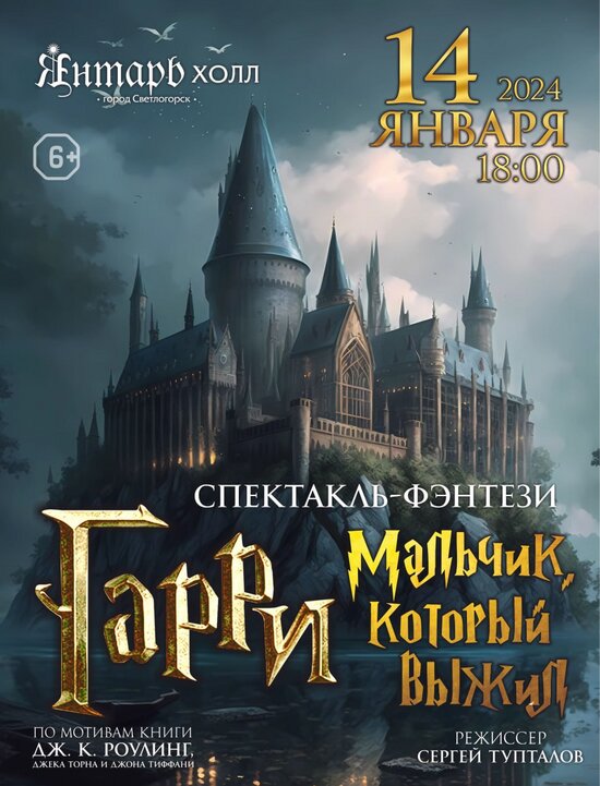 «Гарри — мальчик, который выжил»: история о поиске себя, дружбе и приключениях - Новости Калининграда