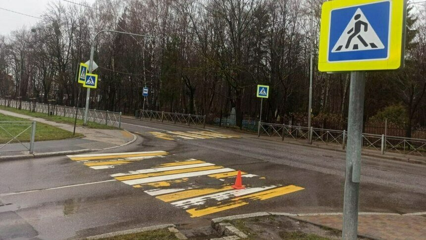 В Калининграде в районе старого кладбища автомобилистка сбила женщину, поговорила с ней и уехала  - Новости Калининграда | Фото: пресс-служба регионального УМВД