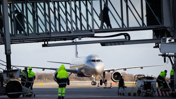 Импортные яйца и новые кандидаты на выборы президента РФ: 8 событий, которые обсуждали на неделе   - Новости Калининграда | Фото: Александр Подгорчук / Архив «Клопс»