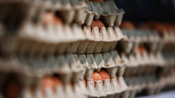 Импортные яйца и новые кандидаты на выборы президента РФ: 8 событий, которые обсуждали на неделе   - Новости Калининграда | Фото: Александр Подгорчук / Архив «Клопс»