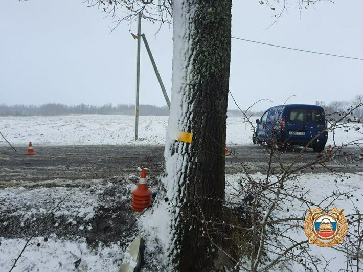 В Багратионовском районе автомобиль врезался в дерево, пострадала пассажирка    - Новости Калининграда | Фото: пресс-служба региональной ГИБДД