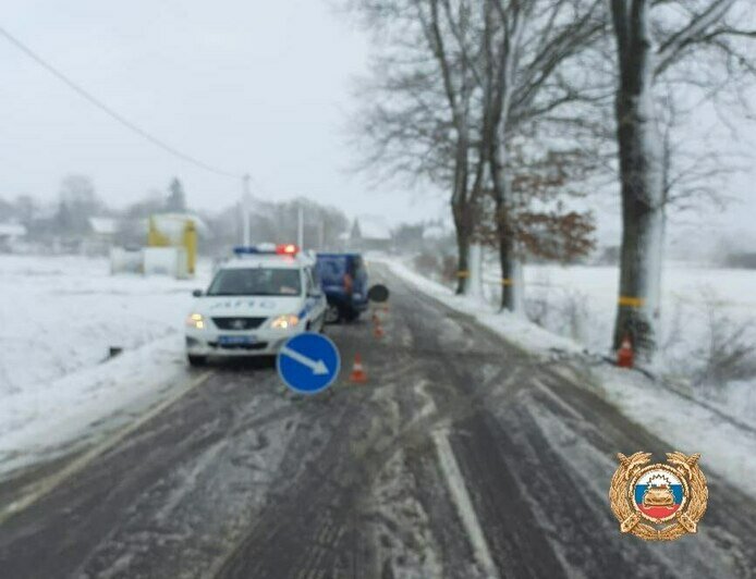 В Багратионовском районе автомобиль врезался в дерево, пострадала пассажирка    - Новости Калининграда | Фото: пресс-служба региональной ГИБДД