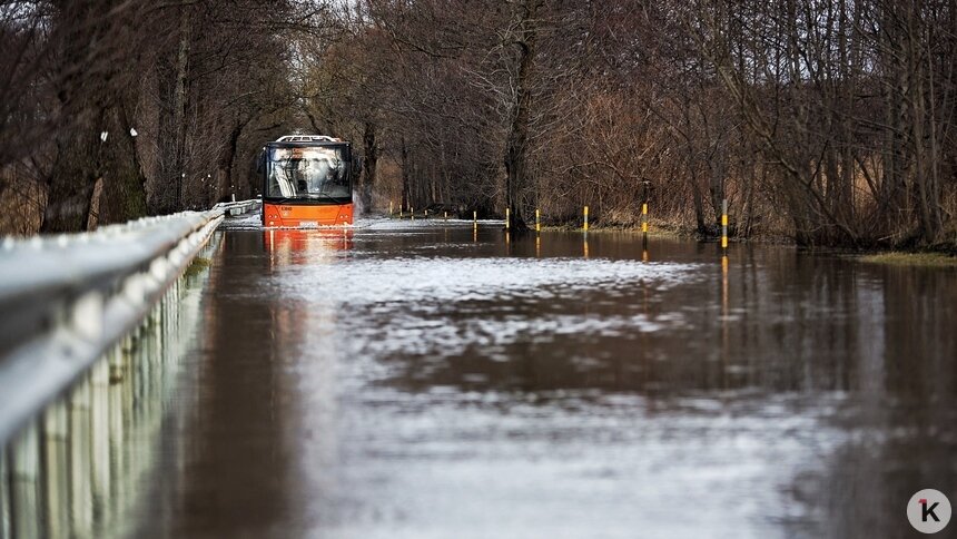 Дятлова оценила решение вопроса с подтоплением Прегольского в сумму более миллиарда рублей - Новости Калининграда | Фото: Александр Подгорчук / Архив «Клопс»