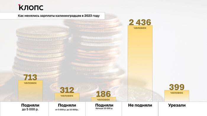 Осталась прежней у 60 процентов: калининградцы рассказали о своих зарплатах в 2023 году (инфографика) - Новости Калининграда | Иллюстрация: Александр Скачко / «Клопс»