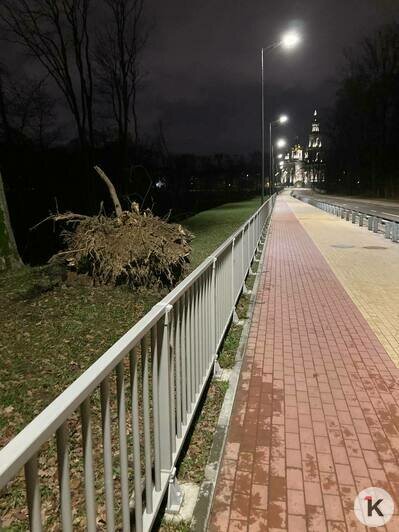 На Свободной дерево упало на авто, на Московском свалился баннер: что натворил циклон «Абдул» в Калининграде  - Новости Калининграда | Фото: «Клопс»