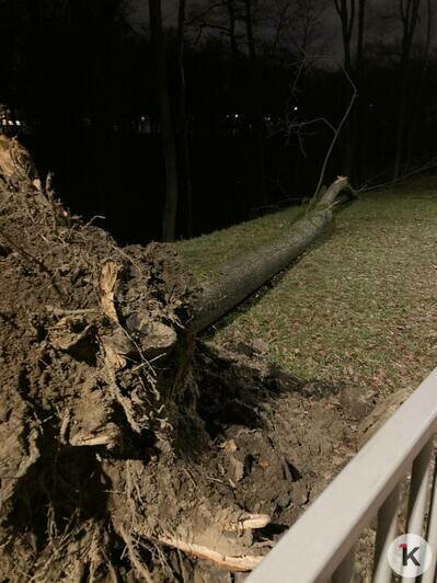 На Свободной дерево упало на авто, на Московском свалился баннер: что натворил циклон «Абдул» в Калининграде  - Новости Калининграда | Фото: «Клопс»