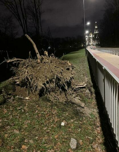 На Свободной дерево упало на авто, на Московском свалился баннер: что натворил циклон «Абдул» в Калининграде  - Новости Калининграда | Фото: «Клопс»