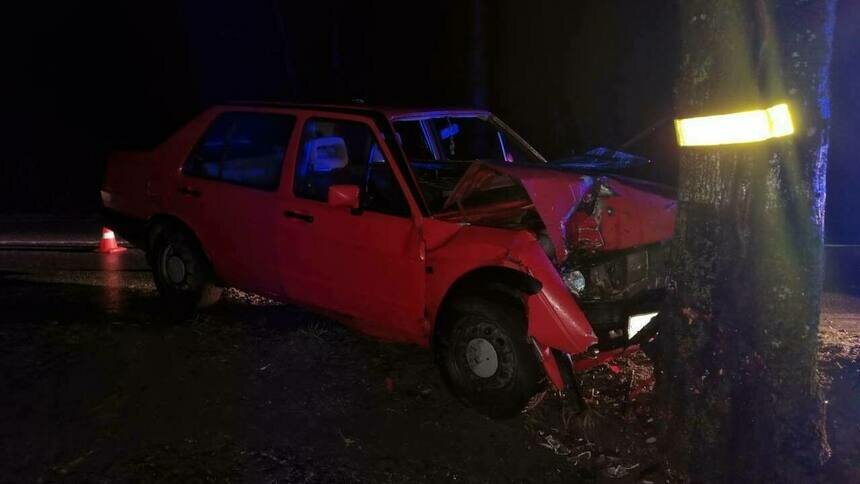 В Зеленоградском районе легковушка съехала с трассы и «поцеловала» дерево, есть пострадавшие  - Новости Калининграда | Фото: пресс-служба регионального УМВД