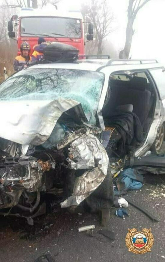 На въезде в Мамоново автомобиль врезался в дерево, водителя увезли в больницу    - Новости Калининграда | Фото: пресс-служба региональной ГИБДД