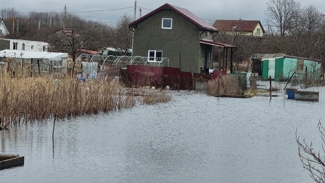 Все посадки уничтожены, тонем в фекалиях и воде: в центре Янтарного затопило дворы (фото и видео) 