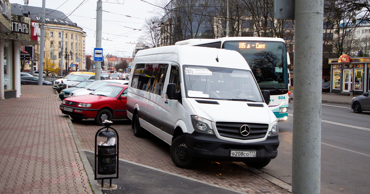 Калининградский автобус. Калининград отрадное автобус. Калининград отрадное автобус. Автобусы калининград. Калининград отрадное автобус.