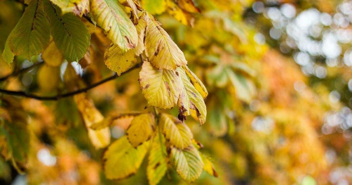 погода в калининграде на 14 дней самый точный