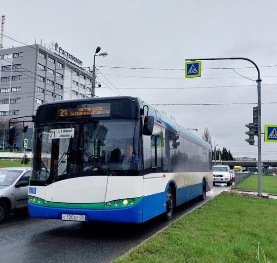 Отставания до 15 минут: в Калининграде двум автобусам временно продлили маршруты - Новости Калининграда | Фото Михаила Лаврускайтиса