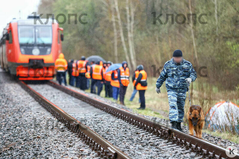 У поезда, сошедшего с рельсов на перегоне Полесск — Гурьевск, стоит оцепление и работают кинологи (фото)  - Новости Калининграда | Фото: Александр Подгорчук / «Клопс»