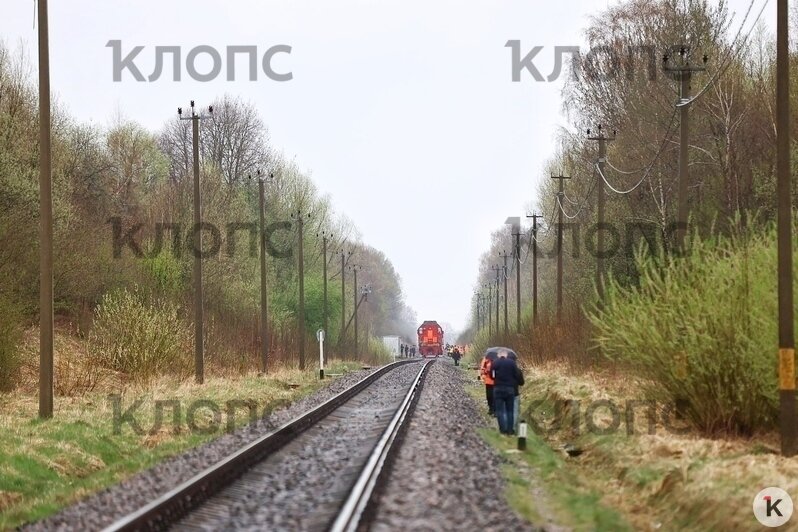 У поезда, сошедшего с рельсов на перегоне Полесск — Гурьевск, стоит оцепление и работают кинологи (фото)  - Новости Калининграда | Фото: Александр Подгорчук / «Клопс»