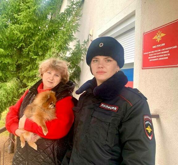 В Светлогорске сотрудница полиции нашла сначала шпица, а потом его хозяев  - Новости Калининграда | Фото: пресс-служба УМВД по Калининградской области