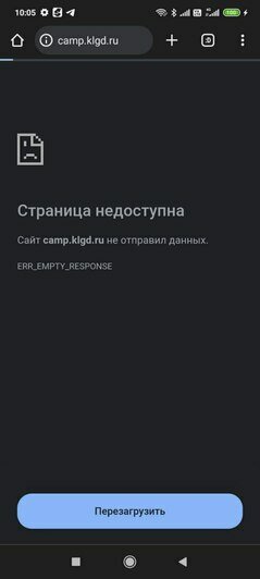 Зависший сайт мэрии, где можно было подать заявку на получение путёвки  | Фото: читательница «Клопс»