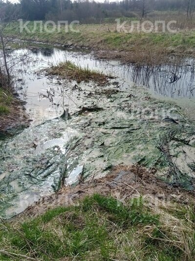 Обходной канал (впадает в канал Глубокий) под Славском 6 апреля | Фото: Гинтар Вензелис