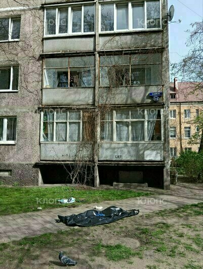 В Калининграде погиб мужчина, выпавший из окна девятиэтажки (фото)   - Новости Калининграда | Фото: читатели «Клопс» 