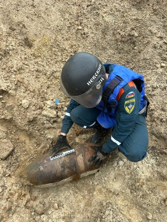 В лесу Багратионовского района обнаружили 100-килограммовую бомбу (фото) - Новости Калининграда | Фото: пресс-служба МЧС региона