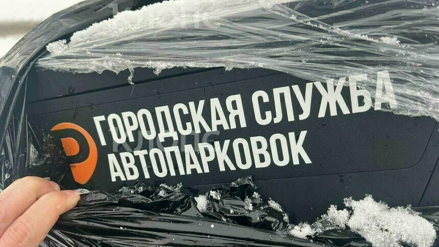 «Мы не Детройт»: Дятлова объяснила новое постановление о создании платных парковок в Калининграде - Новости Калининграда | Фото: архив «Клопс»