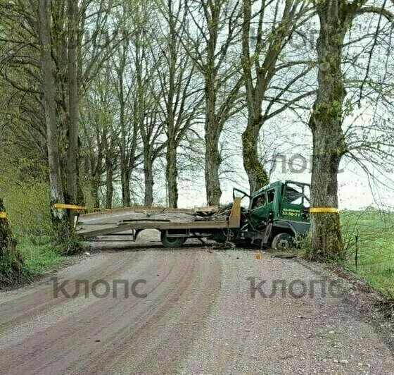 Эвакуатор врезался в дерево, его развернуло поперёк дороги | Фото: очевидец 