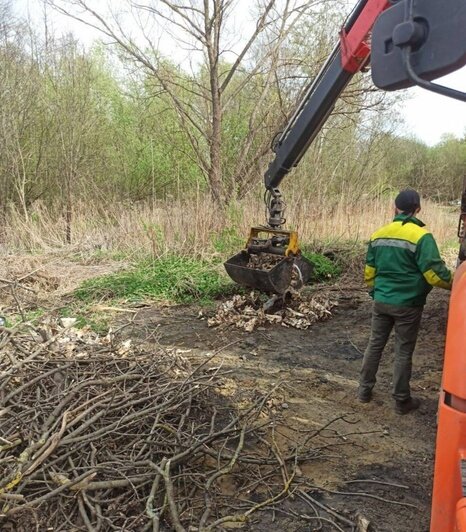 24 тонны коровьих черепов и старых покрышек: на окраине Калининграда 9 часов грузили мусор со стихийной свалки (фото) - Новости Калининграда | Фото: пресс-служба администрации Калининграда