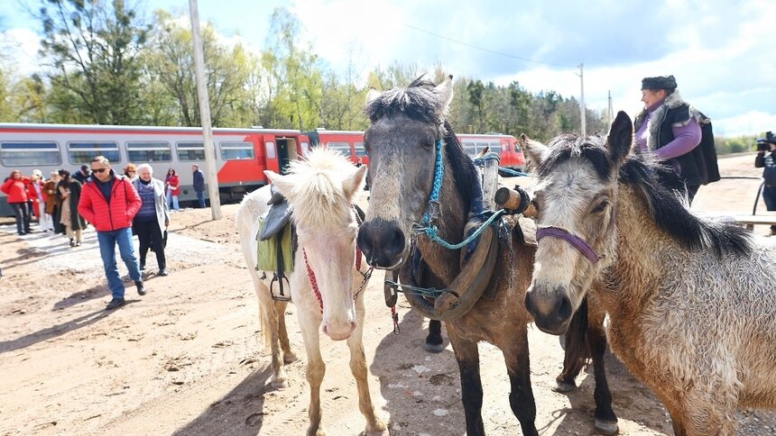 Фото дня: в Краснолесье впервые встретили пассажирский поезд из Калининграда - Новости Калининграда | Фото: Александр Подгорчук / «Клопс»