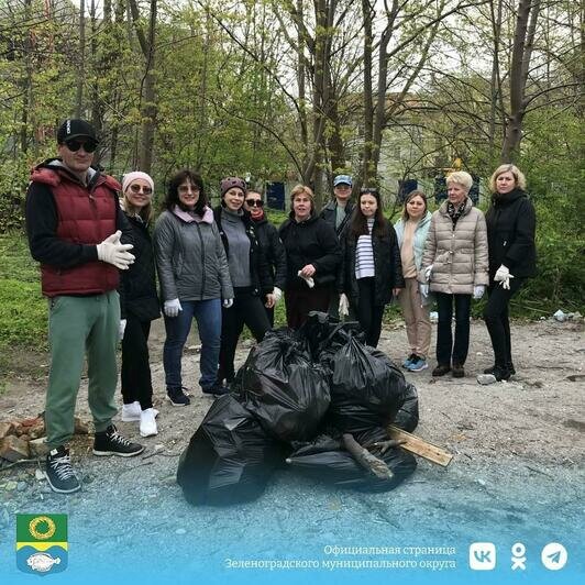 В Зеленоградске клумбы возле Курортного проспекта засадили модными злаковыми (фото)  - Новости Калининграда | Фото: администрация Зеленоградского округа