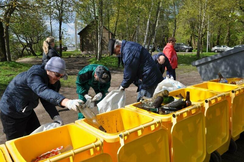 Ковры, бутылки и старые сети: что калининградцы выбрасывают в Преголю и на её берега - Новости Калининграда | Фото: Минприроды Калининградской области