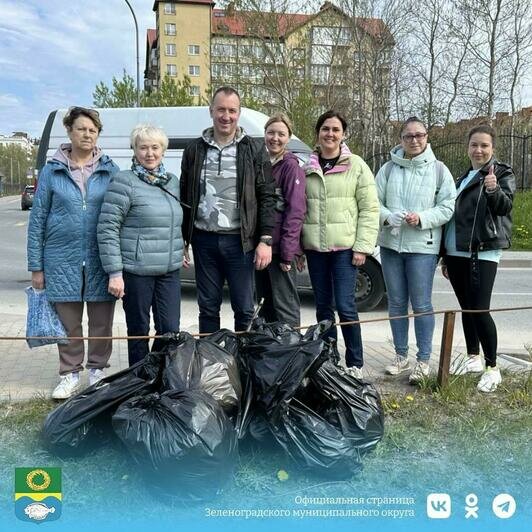 В Зеленоградске клумбы возле Курортного проспекта засадили модными злаковыми (фото)  - Новости Калининграда | Фото: администрация Зеленоградского округа