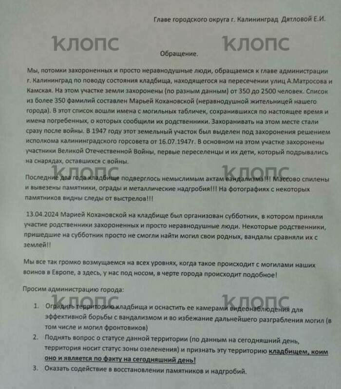 Калининградцы просят мэрию огородить кладбище на Камской и поставить камеры, чтобы сохранить могилы родных - Новости Калининграда | Фото: Евгения