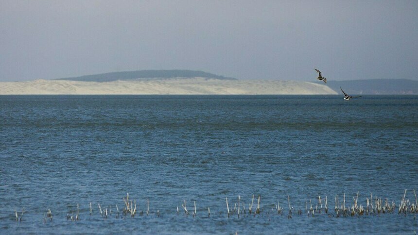 На Куршской косе для туристов запустили водные прогулки - Новости Калининграда | Фото: Александр Подгорчук / Архив «Клопс»