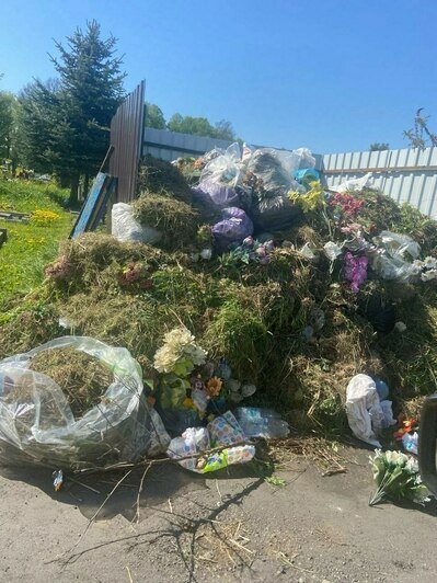 «Всё в траве и одуванчиках»: жителей Черняховска возмутил вид городского кладбища, заросшего сорняками (фото) - Новости Калининграда | Фото: Ирина