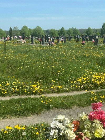 «Всё в траве и одуванчиках»: жителей Черняховска возмутил вид городского кладбища, заросшего сорняками (фото) - Новости Калининграда | Фото: Ирина