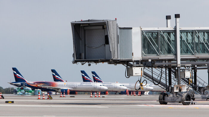 Субсидируемые авиабилеты для калининградцев и рельсобус в Краснолесье: 10 событий, которые обсуждали на неделе   - Новости Калининграда | Фото: Александр Подгорчук / Архив «Клопс»