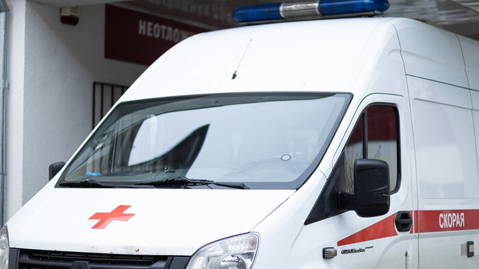 Субсидируемые авиабилеты для калининградцев и рельсобус в Краснолесье: 10 событий, которые обсуждали на неделе   - Новости Калининграда | Фото: Александр Подгорчук / Архив «Клопс»