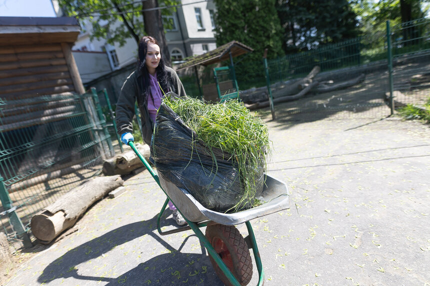 Фото дня: корреспондент «Клопс» примерил на себя роль кипера зоопарка - Новости Калининграда | Фото: Александр Подгорчук / «Клопс»