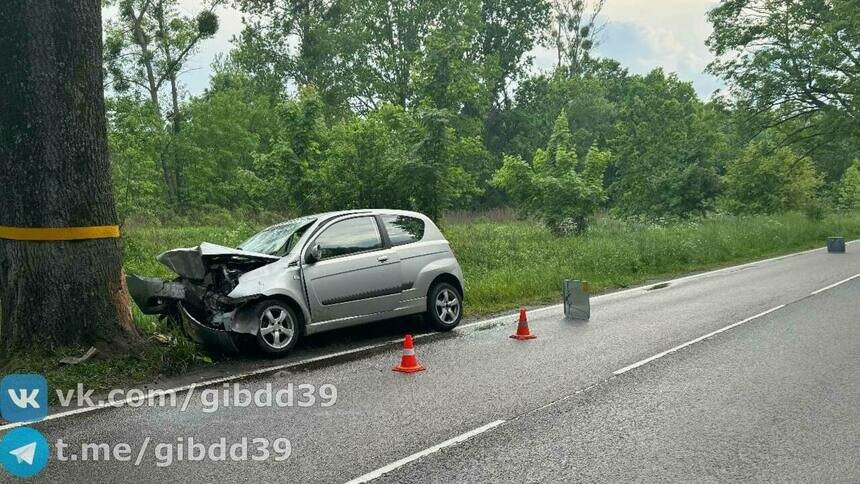 В Зеленоградском районе легковушка влетела в дерево, пострадал один человек - Новости Калининграда | Фото: ГИБДД региона