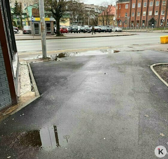 В Калининграде подрядчик будет переделывать площадку ТКО, из-за которой затапливает остановку - Новости Калининграда | Фото: архив «Клопс»