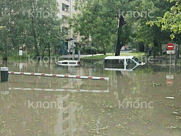 Последствия ливня в Калининграде (фото, видео) - Новости Калининграда | Фото: очевидцы