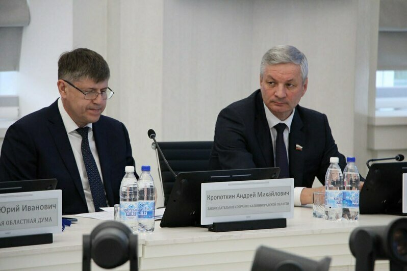 Андрей Кропоткин: У муниципалитетов появится возможность для очистки водоёмов федерального значения   - Новости Калининграда | Фото: пресс-служба областного Заксобрания