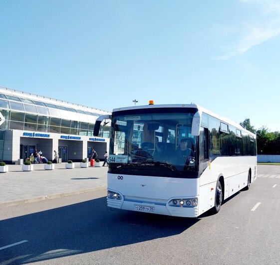 Из аэропорта в города побережья начал курсировать автобус, которого калининградцы ждали несколько лет (фото)   - Новости Калининграда | Фото: Михаил Лаврукайтис