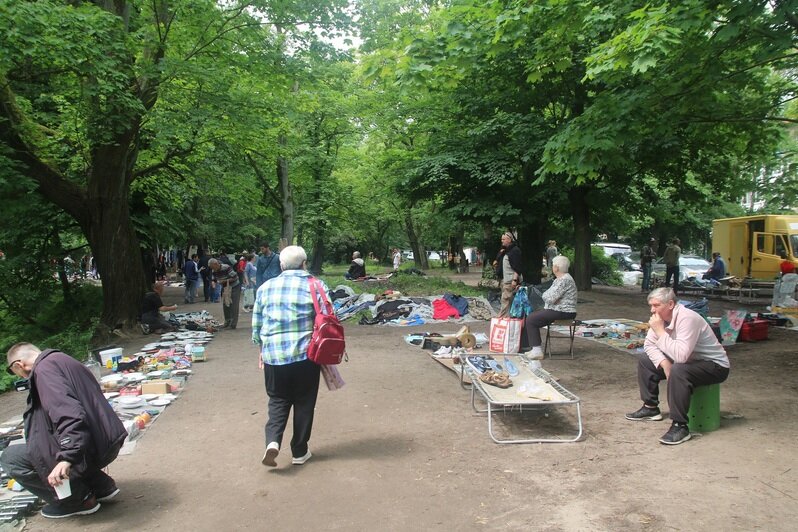 Музей под открытым небом или грязь и хлам: в Калининграде не утихают страсти вокруг блошиного рынка - Новости Калининграда | Фото: Татьяна Батыршина