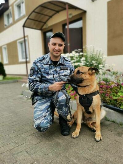 Калининградские полицейские рассказали, как берут на службу кинологов и их питомцев   - Новости Калининграда | Фото: пресс-служба УМВД России по Калининградской области