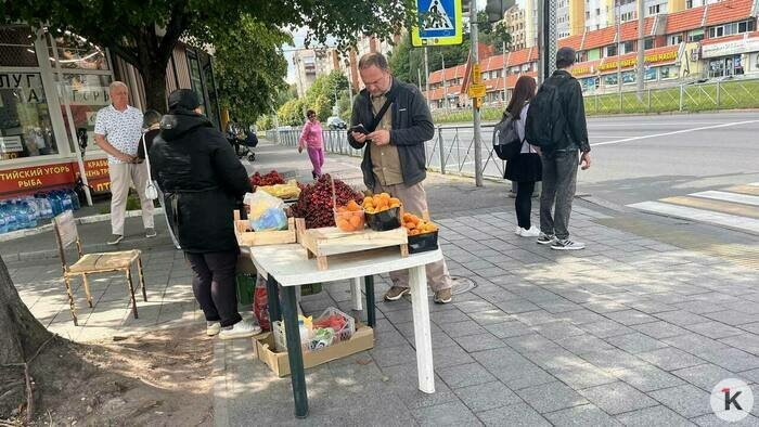 Недовольны и автомобилисты, и пешеходы, и велосипедисты: что не так на одной из самых крупных улиц Калининграда (фоторепортаж) - Новости Калининграда | Фото: «Клопс»