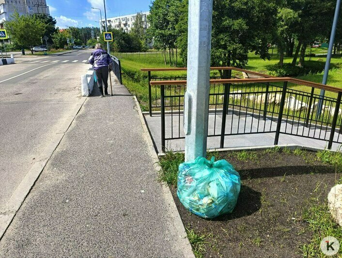 В мэрии Калининграда заявили, что не обязаны убирать пакеты с мусором с улиц до девяти утра  - Новости Калининграда | Фото: Очевидец