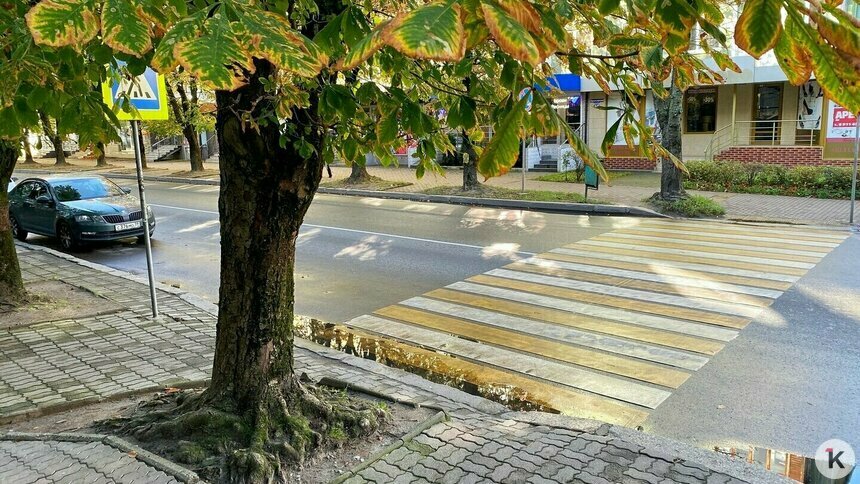 На проблемном перекрёстке в центре Калининграда под машину снова чуть не угодил ребёнок (видео) - Новости Калининграда | Фото: Александр Подгорчук / Архив «Клопс»