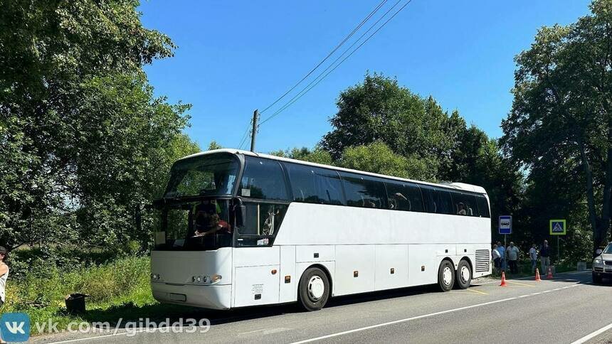 На трассе Калининград — Балтийск резко поехавший автобус стал причиной ДТП  - Новости Калининграда | Фото: пресс-служба УМВД по Калининградской области